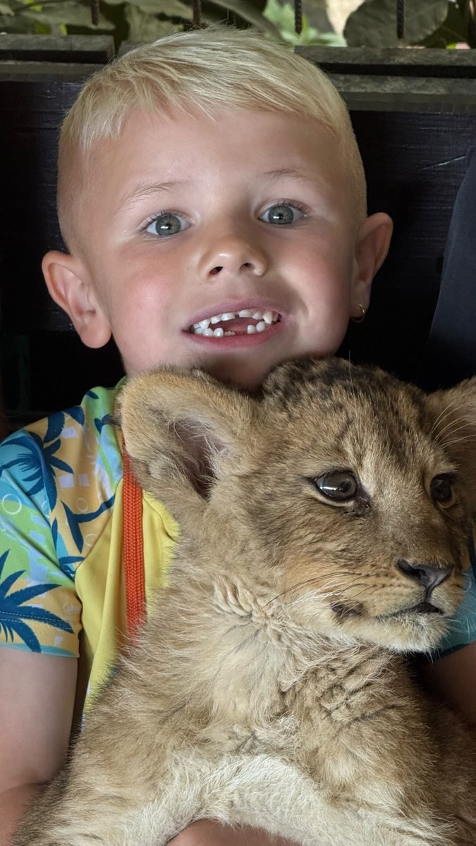 Lion Safari Tour gallery photo 1