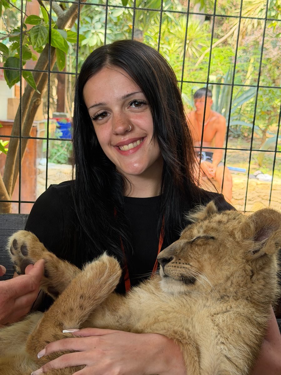 Lion Safari Tour gallery photo 2