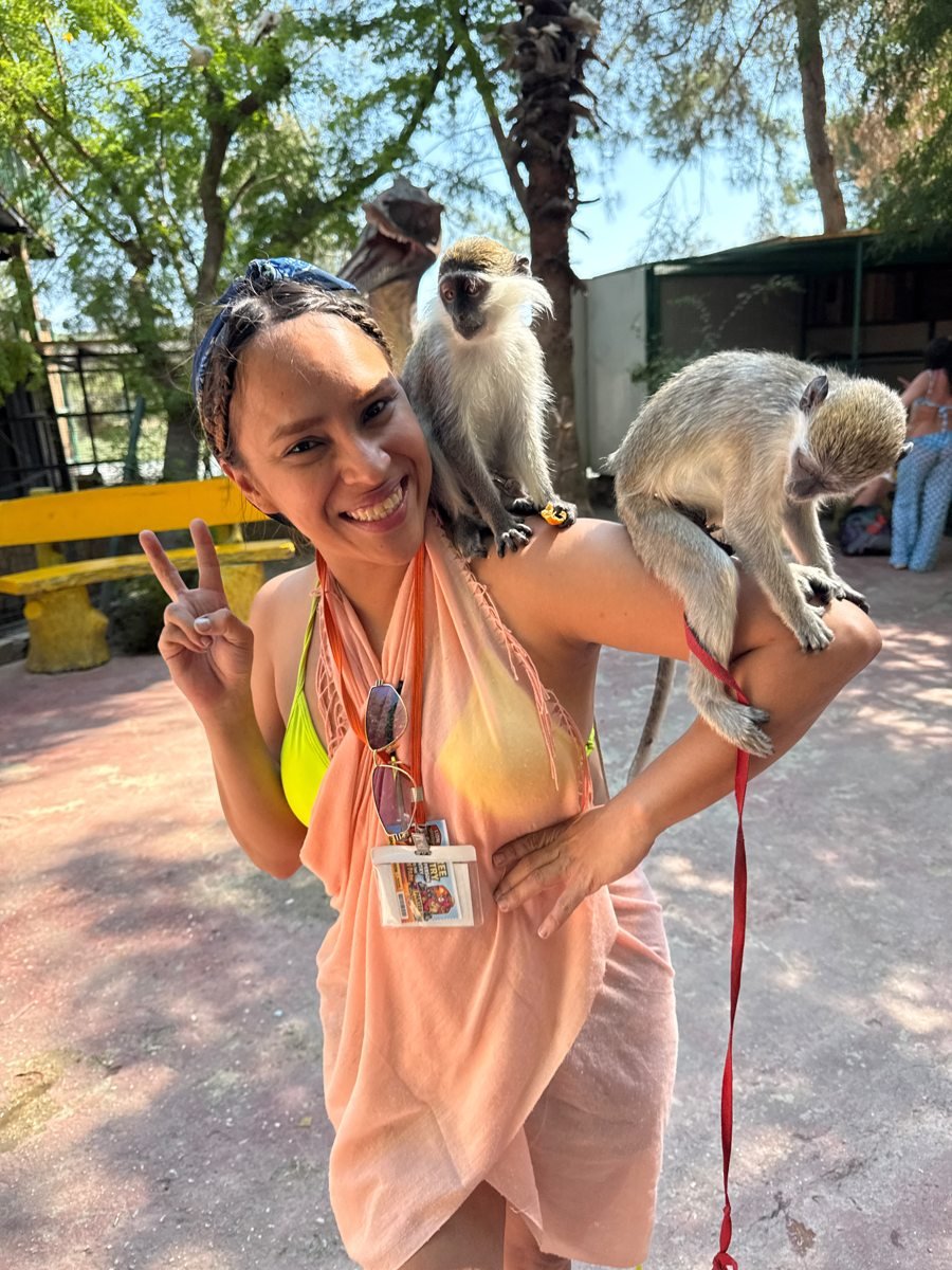 Lion Safari Tour gallery photo 3