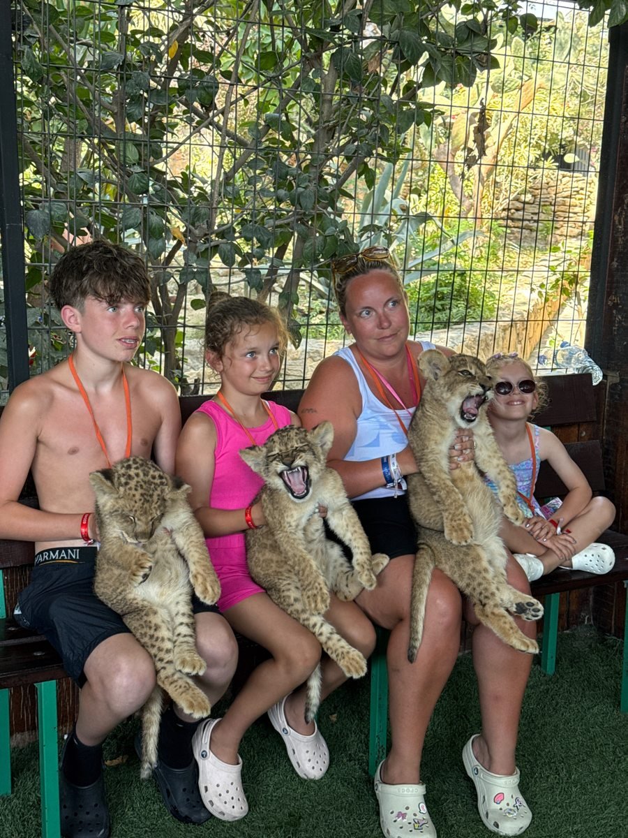 Lion Safari Tour gallery photo 4