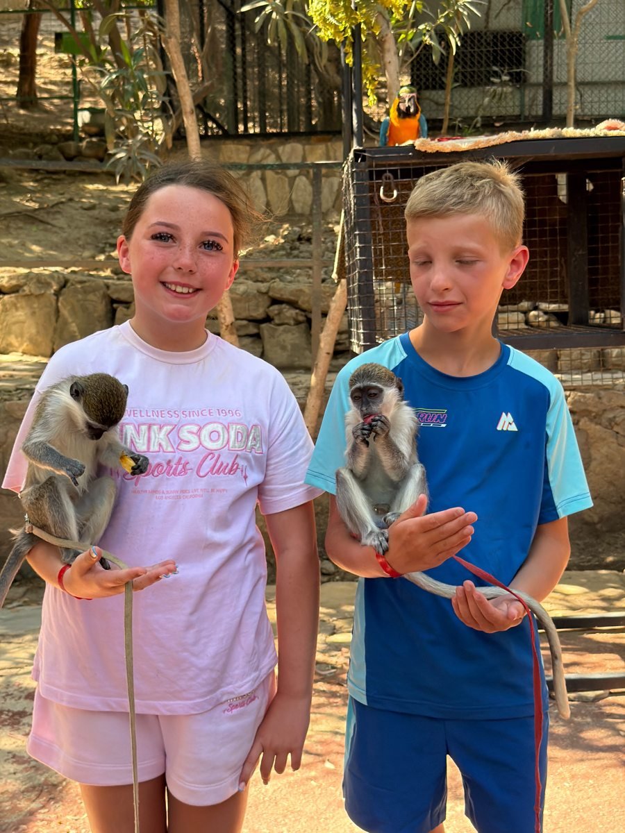 Lion Safari Tour gallery photo 8