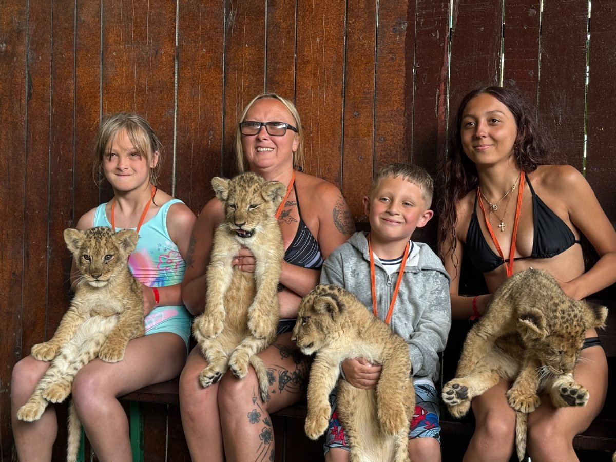 Lion Safari Tour gallery photo 9