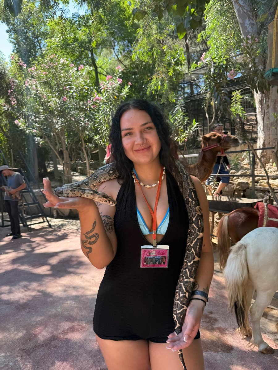 Lion Safari Tour gallery photo 13