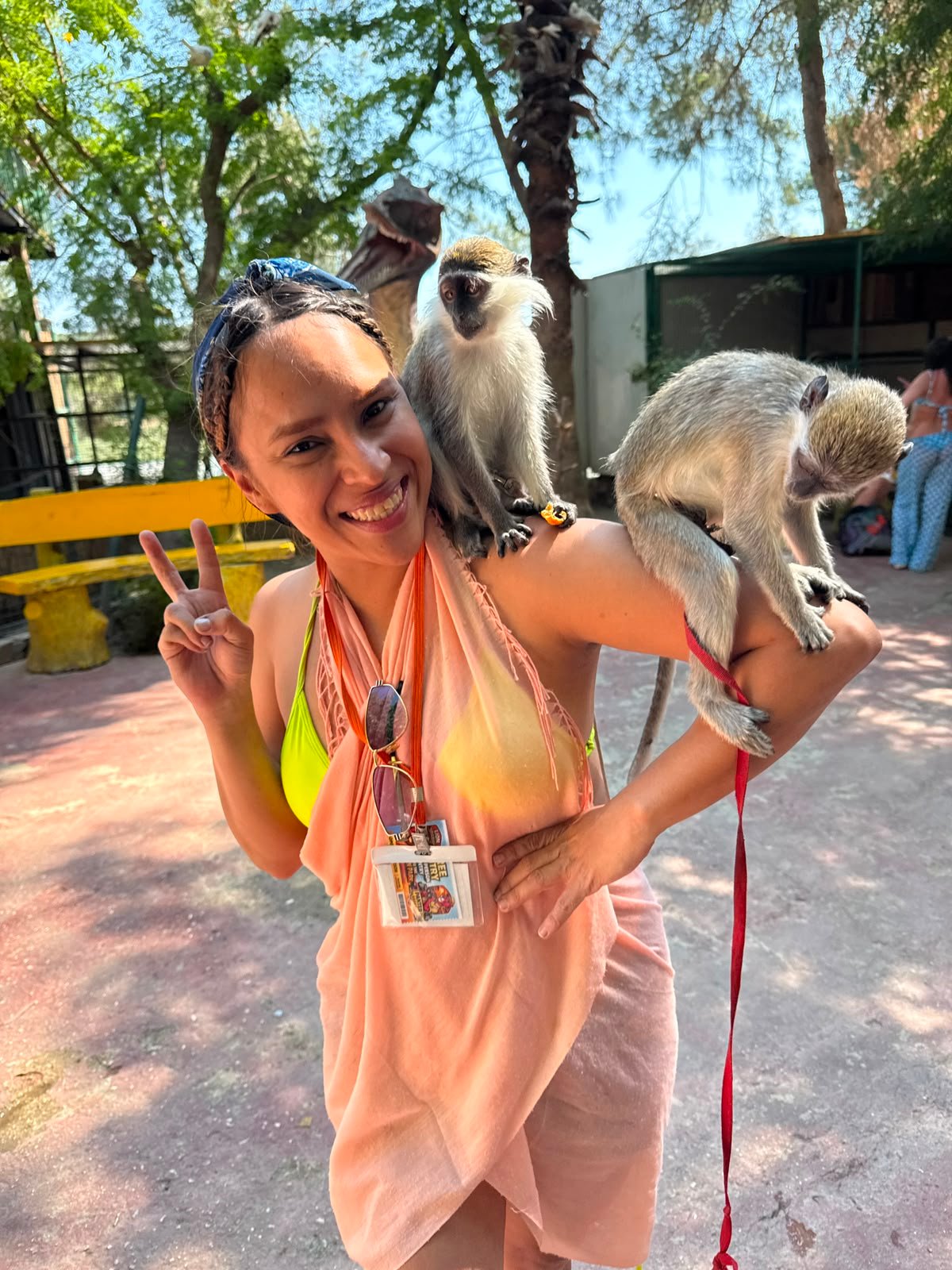 Cabrio Safari Tour — moment from the safari tour 2