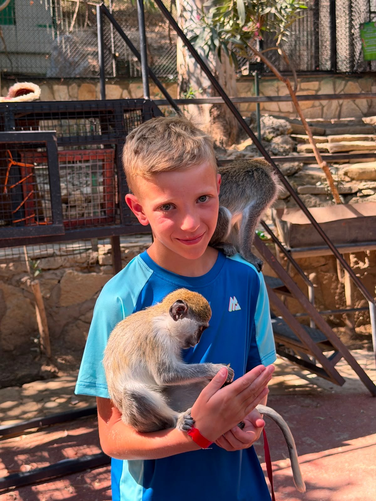 Cabrio Safari Tour — moment from the safari tour 5