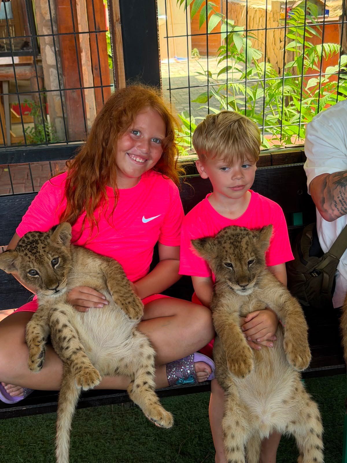 Cabrio Safari Tour — moment from the safari tour 12